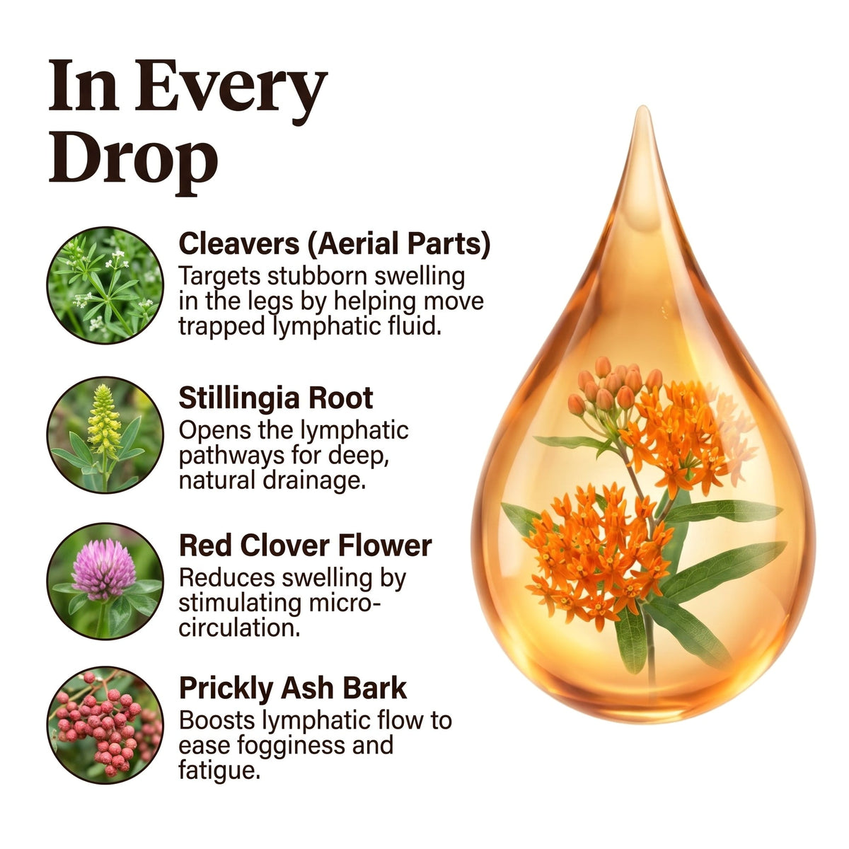 LYMPHATIC DRAINAGE DROPS